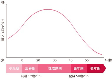 【更年期障害】５０代からの女性の体で何が起こっている？｜サンテ鍼灸整骨院 守口市・寝屋川市・門真市